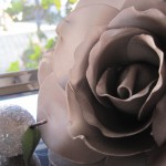 IMG_3561